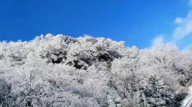 斗罗:史莱克七怪又集体换上了绿衣服,江楠楠绿配紫,萧萧赢麻了