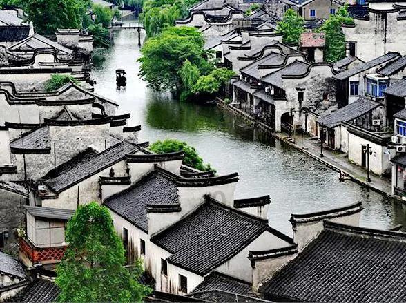 卡通考拉救援